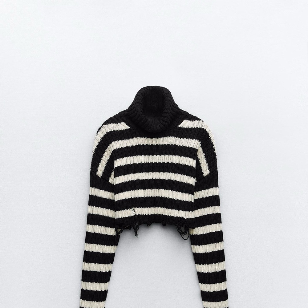 Zara Black and White Striped Crop Top